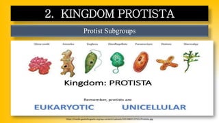 Protist Subgroups
2. KINGDOM PROTISTA
https://media.geeksforgeeks.org/wp-content/uploads/20220803122552/Protista.jpg
 