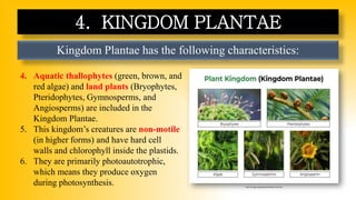 Kingdom Plantae has the following characteristics:
4. KINGDOM PLANTAE
4. Aquatic thallophytes (green, brown, and
red algae) and land plants (Bryophytes,
Pteridophytes, Gymnosperms, and
Angiosperms) are included in the
Kingdom Plantae.
5. This kingdom’s creatures are non-motile
(in higher forms) and have hard cell
walls and chlorophyll inside the plastids.
6. They are primarily photoautotrophic,
which means they produce oxygen
during photosynthesis. https://images.app.goo.gl/ao44Q9GLeLULvA7bA
 