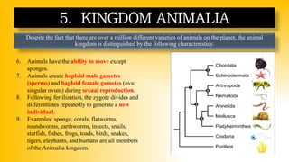 Despite the fact that there are over a million different varieties of animals on the planet, the animal
kingdom is distinguished by the following characteristics:
5. KINGDOM ANIMALIA
6. Animals have the ability to move except
sponges.
7. Animals create haploid male gametes
(sperms) and haploid female gametes (ova;
singular ovum) during sexual reproduction.
8. Following fertilization, the zygote divides and
differentiates repeatedly to generate a new
individual.
9. Examples: sponge, corals, flatworms,
roundworms, earthworms, insects, snails,
starfish, fishes, frogs, toads, birds, snakes,
tigers, elephants, and humans are all members
of the Animalia kingdom.
 