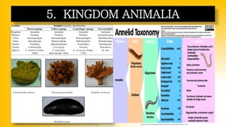 5. KINGDOM ANIMALIA
https://www.researchgate.net/profile/Moaz-Hamed-2/publication/342493343/figure/tbl1/AS:906999210463233@1593256871525/Classification-position-of-sponges-and-sea-cucumber-within-Kingdom-Animalia.png https://www.earthwormsoc.org.uk/sites/default/files/inline-images/Annelid%20Taxonomy_1.jpg
 