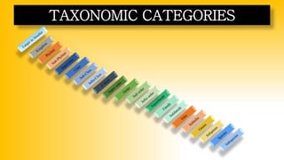 TAXONOMIC CATEGORIES
 