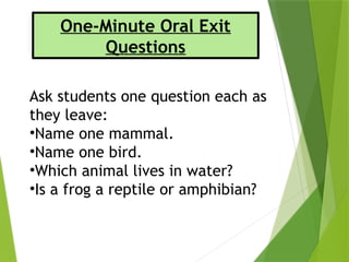 Animal classification with effective activities | PPTX