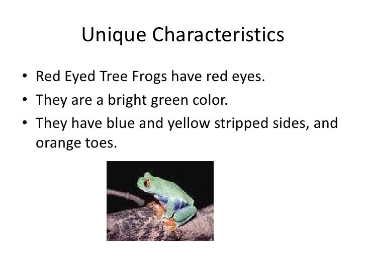 animal classification group 3