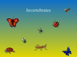 Animal classification invertebrates 5th grade