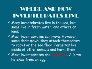 WHERE AND HOW
INVERTEBRATES LIVE
 Many invertebrates live in the sea, but
some live in fresh water, and others on
land.
...