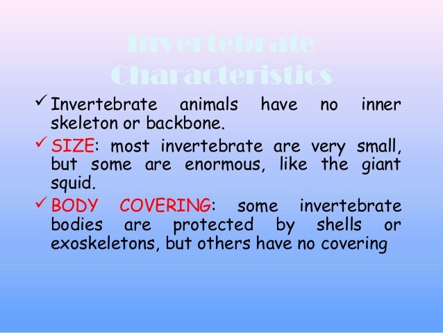 Animal classification invertebrates 5th grade