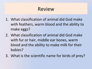 Review
1. What classification of animal did God make 
with feathers, warm blood and the ability to 
make eggs?
2. What classification of animal did God make 
with fur or hair, middle ear bones, warm 
blood and the ability to make milk for their 
babies?
3. What is the scientific name for birds of prey?

 