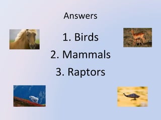 Answers

1. Birds
2. Mammals
3. Raptors

 