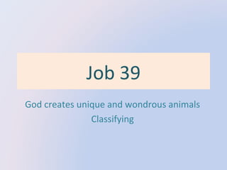 Job 39
God creates unique and wondrous animals
Classifying

 