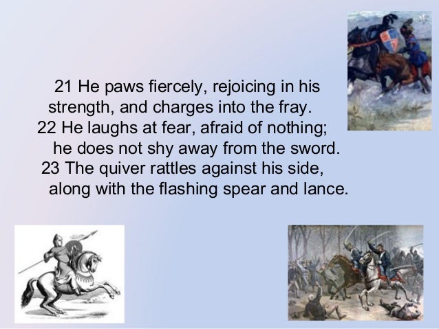 Animal classification based on Job 39