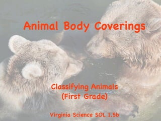 Animal Body Coverings




    Classifying Animals
       (First Grade)

    Virginia Science SOL 1.5b
 