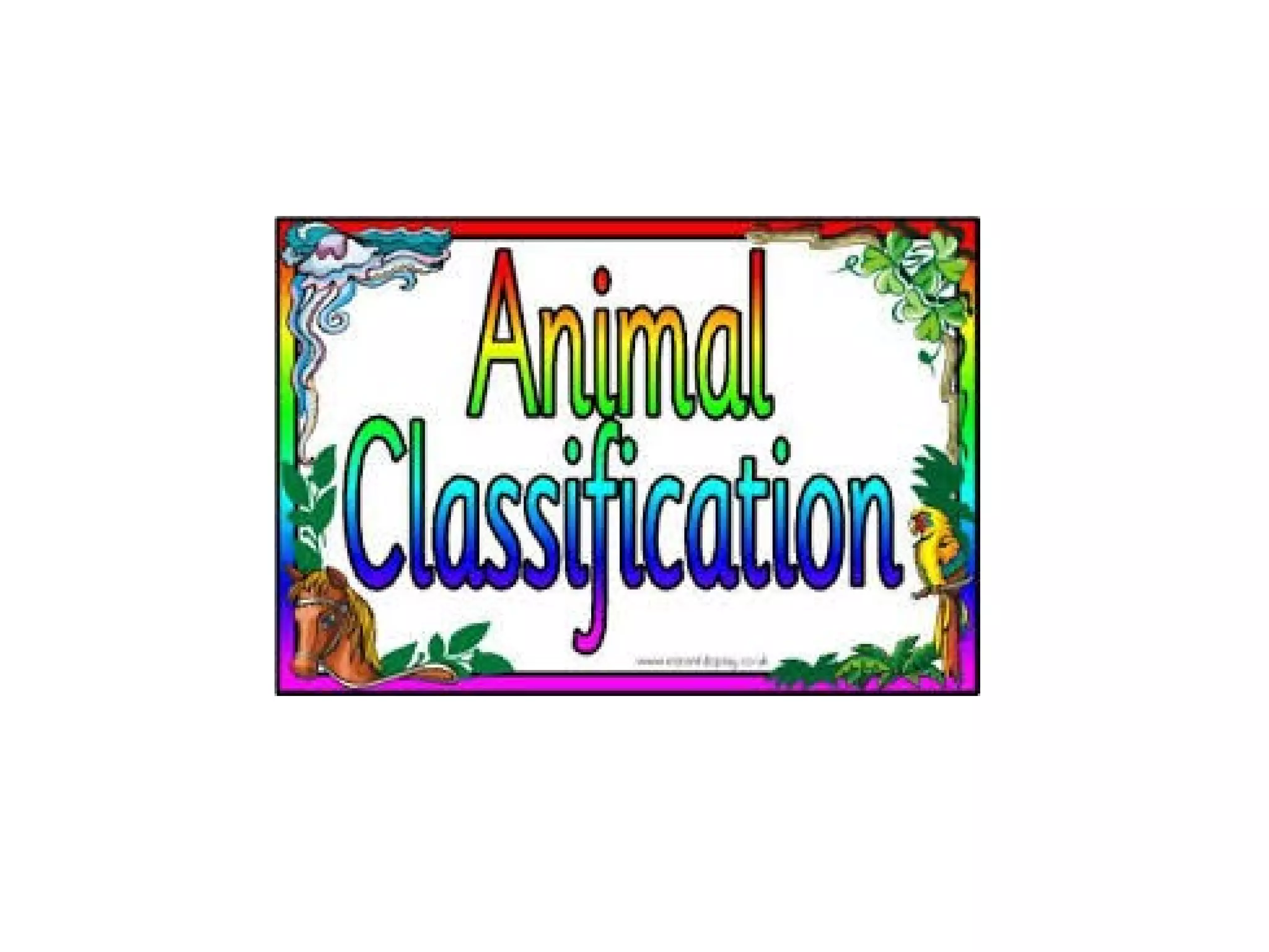 Animal classification powerpoint | PPT