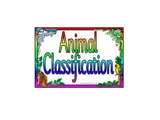 Animal classification powerpoint