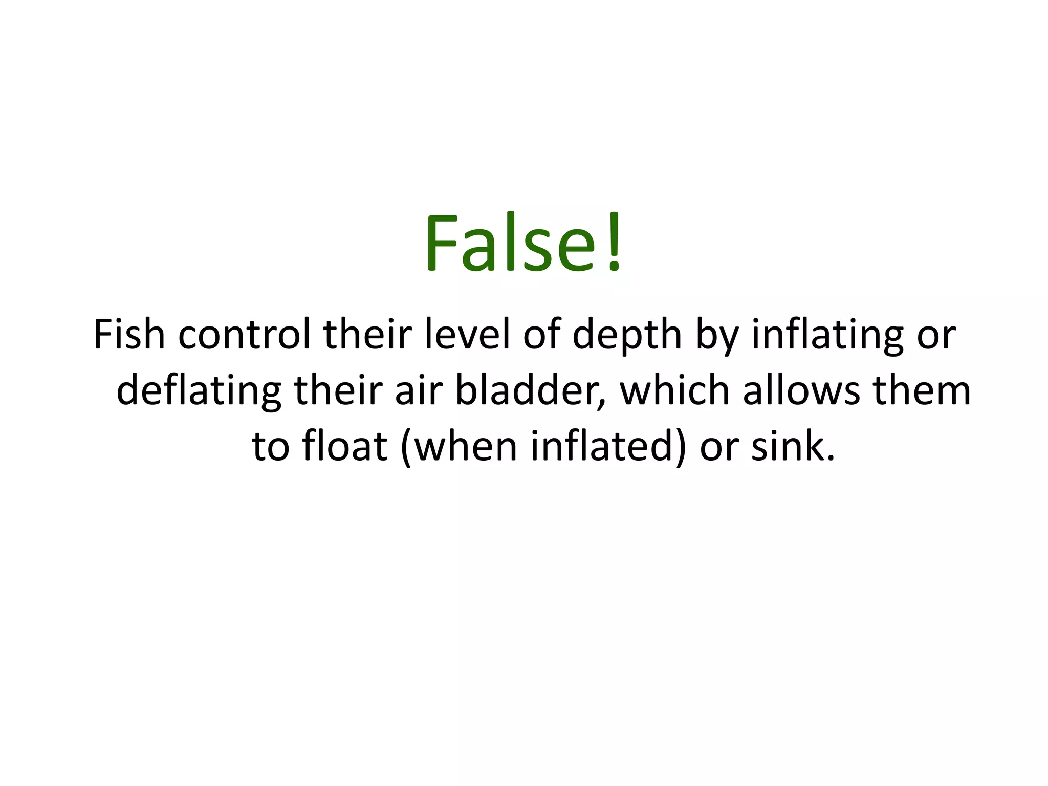 Animal classification (slideshare version - no hyperlinks) | PPTX