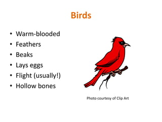 Birds
•   Warm-blooded
•   Feathers
•   Beaks
•   Lays eggs
•   Flight (usually!)
•   Hollow bones
                           Photo courtesy of Clip Art
 