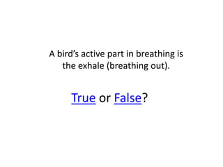 A bird’s active part in breathing is
   the exhale (breathing out).


     True or False?
 