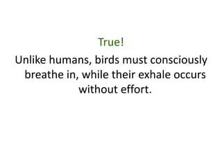 True!
Unlike humans, birds must consciously
 breathe in, while their exhale occurs
            without effort.
 