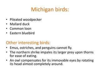 Michigan birds:
•   Pileated woodpecker
•   Mallard duck
•   Common loon
•   Eastern bluebird

Other interesting birds:
• Emus, ostriches, and penguins cannot fly.
• The northern shrike impales its larger prey upon thorns
  for ease of eating.
• An owl compensates for its immovable eyes by rotating
  its head almost completely around.
 
