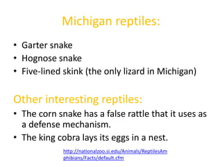 Michigan reptiles:
• Garter snake
• Hognose snake
• Five-lined skink (the only lizard in Michigan)

Other interesting reptiles:
• The corn snake has a false rattle that it uses as
  a defense mechanism.
• The king cobra lays its eggs in a nest.
             http://nationalzoo.si.edu/Animals/ReptilesAm
             phibians/Facts/default.cfm
 