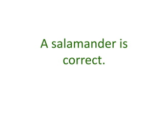 A salamander is
    correct.
 
