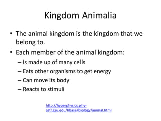Kingdom Animalia
• The animal kingdom is the kingdom that we
  belong to.
• Each member of the animal kingdom:
  – Is made up of many cells
  – Eats other organisms to get energy
  – Can move its body
  – Reacts to stimuli

            http://hyperphysics.phy-
            astr.gsu.edu/hbase/biology/animal.html
 