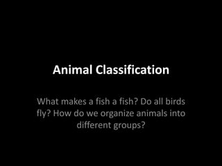 Animal Classification

What makes a fish a fish? Do all birds
fly? How do we organize animals into
          different groups?
 
