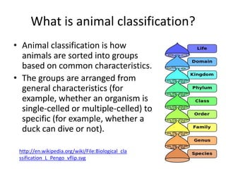 Animal classification (slideshare version - no hyperlinks)