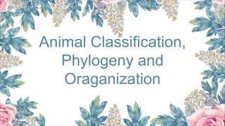 Animal Classification,
Phylogeny and
Oraganization
 
