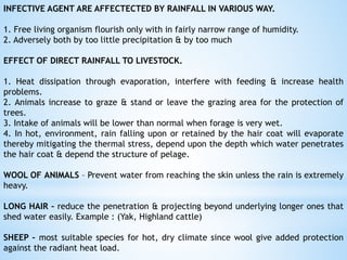 INFECTIVE AGENT ARE AFFECTECTED BY RAINFALL IN VARIOUS WAY.
1. Free living organism flourish only with in fairly narrow range of humidity.
2. Adversely both by too little precipitation & by too much
EFFECT OF DIRECT RAINFALL TO LIVESTOCK.
1. Heat dissipation through evaporation, interfere with feeding & increase health
problems.
2. Animals increase to graze & stand or leave the grazing area for the protection of
trees.
3. Intake of animals will be lower than normal when forage is very wet.
4. In hot, environment, rain falling upon or retained by the hair coat will evaporate
thereby mitigating the thermal stress, depend upon the depth which water penetrates
the hair coat & depend the structure of pelage.
WOOL OF ANIMALS – Prevent water from reaching the skin unless the rain is extremely
heavy.
LONG HAIR – reduce the penetration & projecting beyond underlying longer ones that
shed water easily. Example : (Yak, Highland cattle)
SHEEP – most suitable species for hot, dry climate since wool give added protection
against the radiant heat load.
 