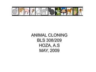 ANIMAL CLONINGBLS 308/209HOZA, A.SMAY, 2009 