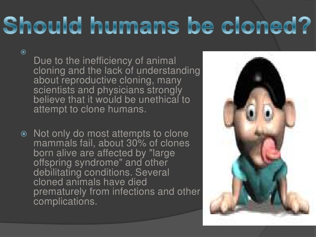 Animal cloning