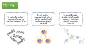 Animal cloning | PPTX