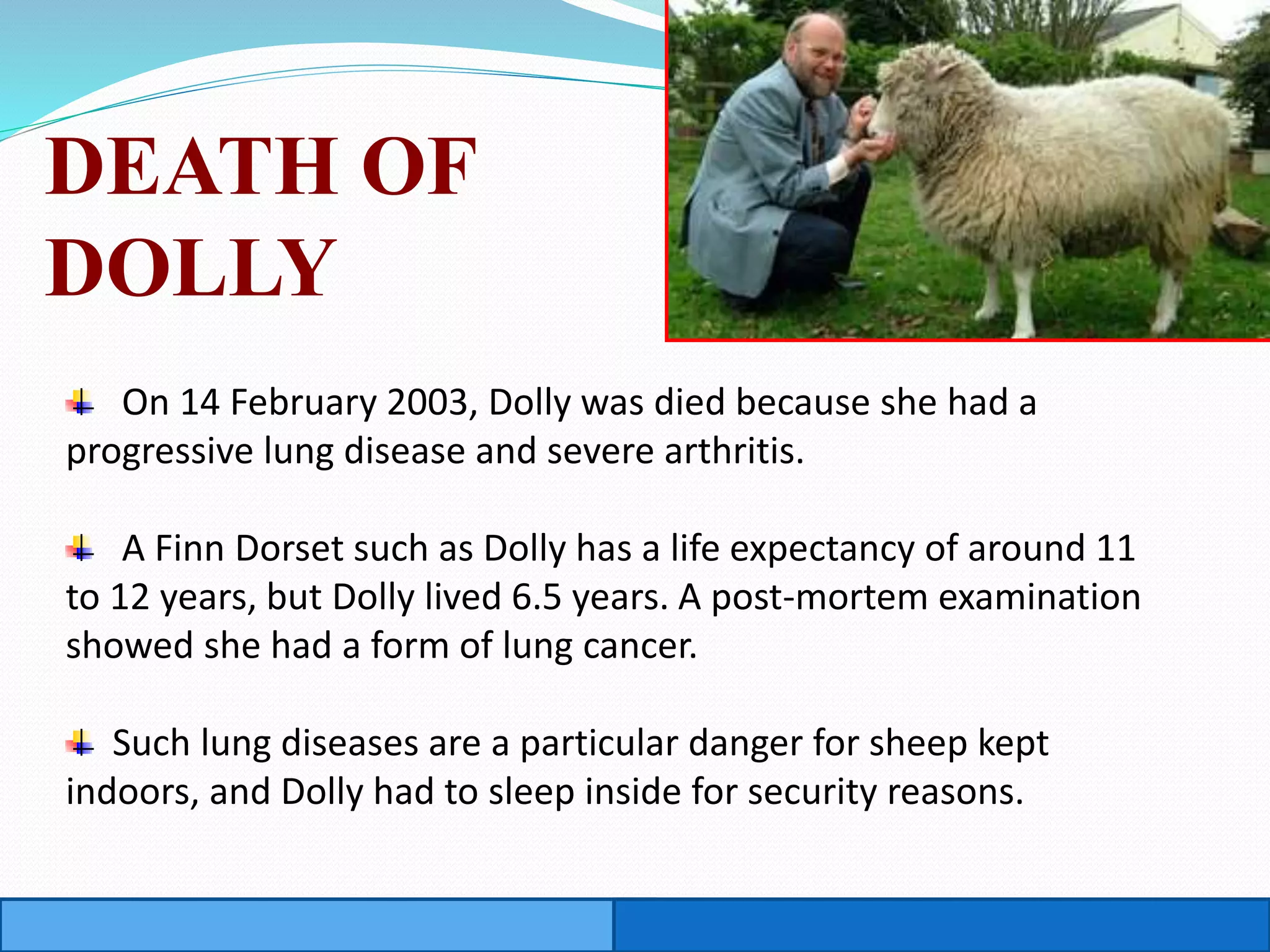 On 14 February 2003, Dolly was died because she had a
progressive lung disease and severe arthritis.
A Finn Dorset such as Dolly has a life expectancy of around 11
to 12 years, but Dolly lived 6.5 years. A post-mortem examination
showed she had a form of lung cancer.
Such lung diseases are a particular danger for sheep kept
indoors, and Dolly had to sleep inside for security reasons.
DEATH OF
DOLLY
 