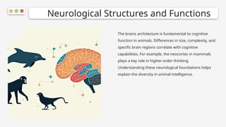 Think Animal Animal Cognition: Insights into Thinking, Behavior, and Interaction | PPTX