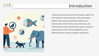 Animal Cognition: Insights into Thinking, Behavior, and Interaction | PPTX