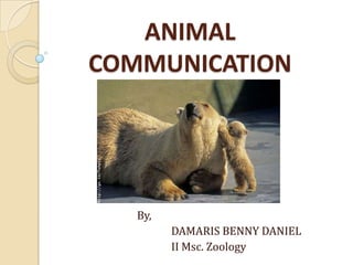 ANIMAL
COMMUNICATION
By,
DAMARIS BENNY DANIEL
II Msc. Zoology
 