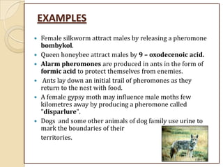 EXAMPLES
 Female silkworm attract males by releasing a pheromone
bombykol.
 Queen honeybee attract males by 9 – oxodecenoic acid.
 Alarm pheromones are produced in ants in the form of
formic acid to protect themselves from enemies.
 Ants lay down an initial trail of pheromones as they
return to the nest with food.
 A female gypsy moth may influence male moths few
kilometres away by producing a pheromone called
"disparlure".
 Dogs and some other animals of dog family use urine to
mark the boundaries of their
territories.
 
