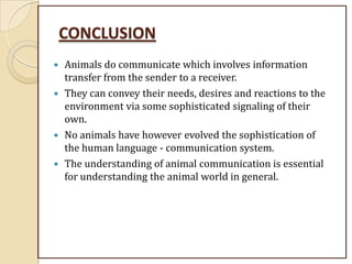 CONCLUSION
 Animals do communicate which involves information
transfer from the sender to a receiver.
 They can convey their needs, desires and reactions to the
environment via some sophisticated signaling of their
own.
 No animals have however evolved the sophistication of
the human language - communication system.
 The understanding of animal communication is essential
for understanding the animal world in general.
 
