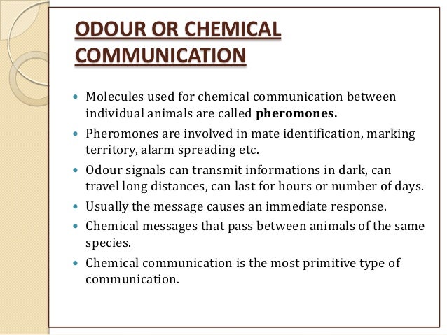 Animal communication