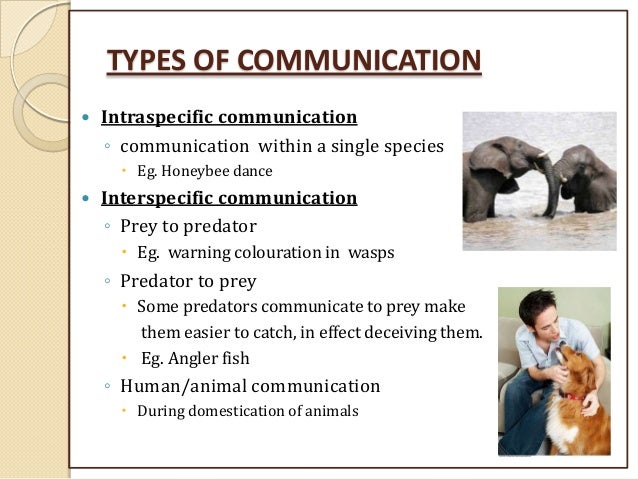 animal communication