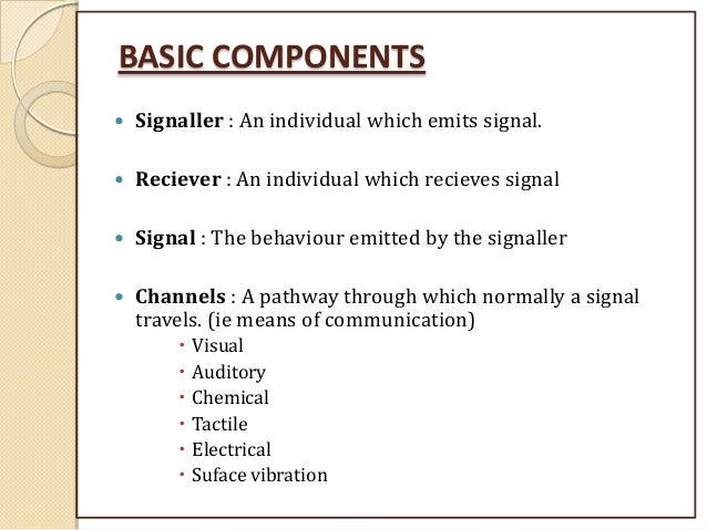 Animal Communication