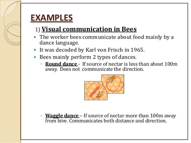 😊 What is visual communication in animals. Animal Communication