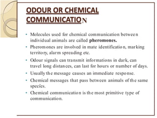 N
• Molecules used for chemical communication between
individual animals are called pheromones.
• Pheromones are involved in mate identificatio n, marking
territory, alarm spreading etc.
• Odour signals can transmit informations in dark, can
travel long distan ces, can last for hours or number of days.
• Usually the message causes an immediate response.
• Chemical messages that pass between animals of the same
.
species.
• Chemical communication is the most primitive type of
communication.
 