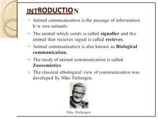 INT N
• Animal communication is the passage of information
b/w two animals.
• The animal which sends is called signaller and the
animal that recieves signal is called reciever.
• Animal communication is also known as Biological
communication.
• The study of animal communication is called
Zoosemiotics
• The classical ethological view of communication was
developed by Niko Tinbergen.
Niko Tinbergen
 