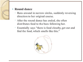 • Round dance
0
Runs around in narrow circles, suddenly reversing
direction to her original course.
After the round dance has ended, she often
distributes food to the bees following her.
Essentially says "there is food closeby, get out and
find the food, which smells like this."
0
0
 