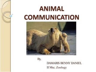 By,
DAMARIS BENNY DANIEL
II Msc. Zoology
 