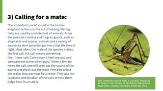 Animal Communication- Auditory and Visual.pptx