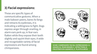 Animal Communication- Auditory and Visual.pptx