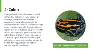 Animal Communication- Auditory and Visual.pptx