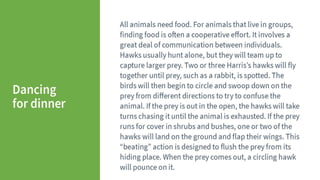 Animal Communication- Auditory and Visual.pptx